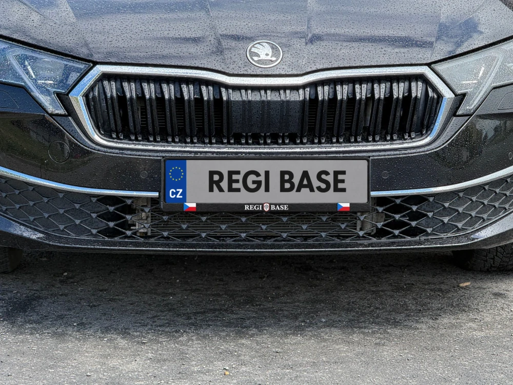 3D Podložka pod SPZ REGI BASE 